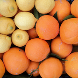 Mix agrumi Sicilia, da tavola BIO