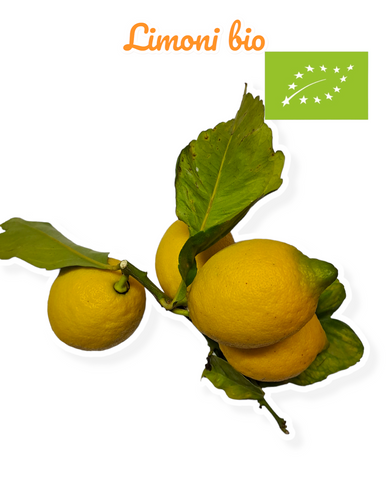 Limoni di Sicilia BIO- Spedizione gratuita